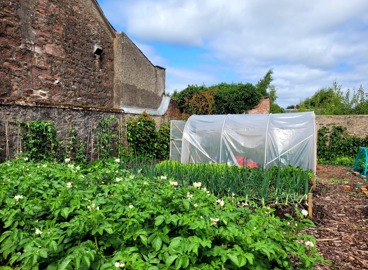 Rattray Community Garden